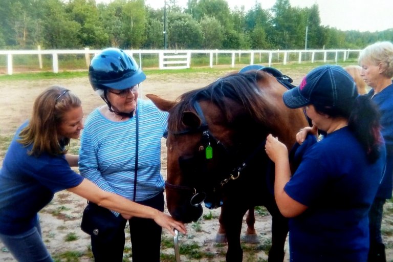 Three people petting a horse, one person is letting the horse smell the back of their hand. while the others are petting his beautiful mane